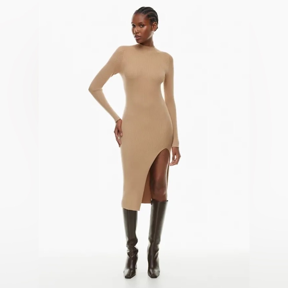 Aritzia Wilfred Alchemy Dress